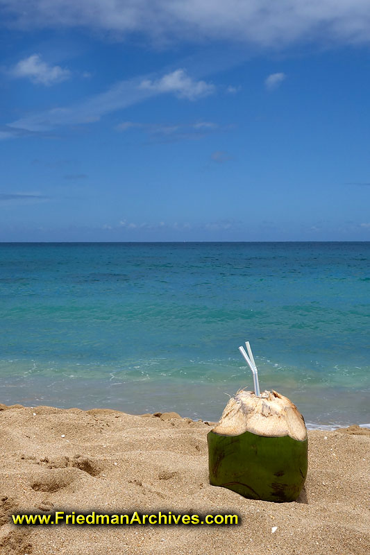 beach,water,clear,kauai,hawaii,icon,postcard,straws,drink,tropical,rule of thirds,